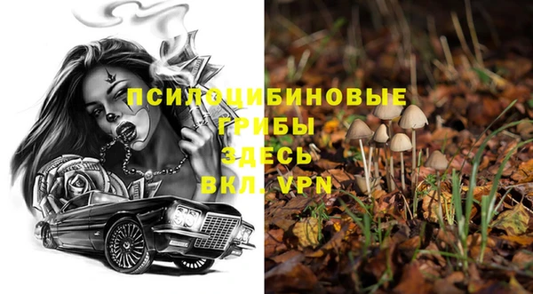 амф Абинск