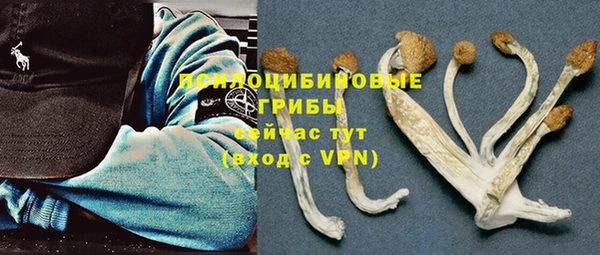 2c-b Алексеевка