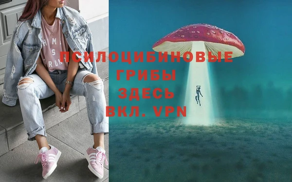 герыч Алзамай