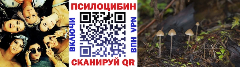 где купить наркотик Палласовка Псилоцибиновые грибы прущие грибы